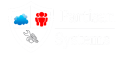 Partisan Systems